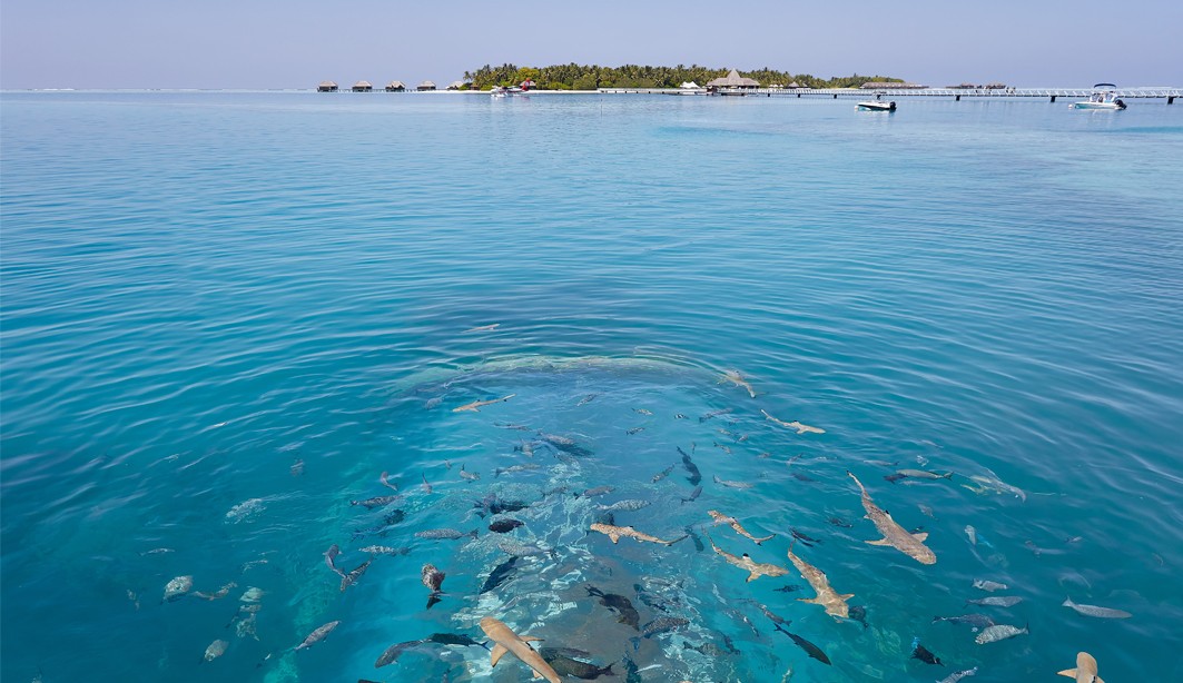 Conrad Maldives Rangali Island 5*