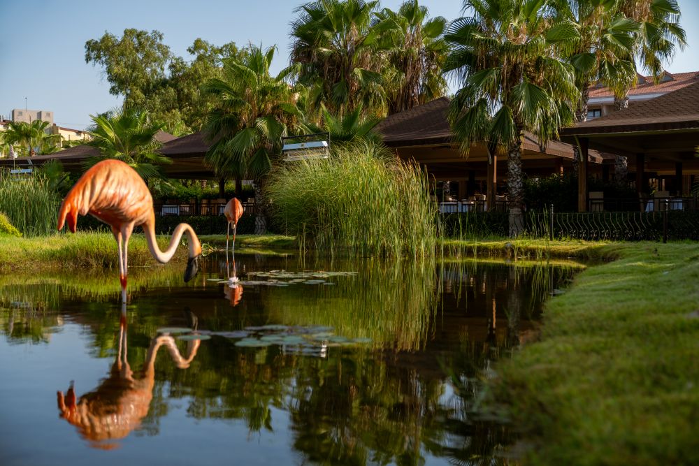 Turan Prince World Club Hotel HV1 5*