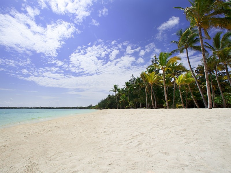 Barcelo Bavaro Palace 5*