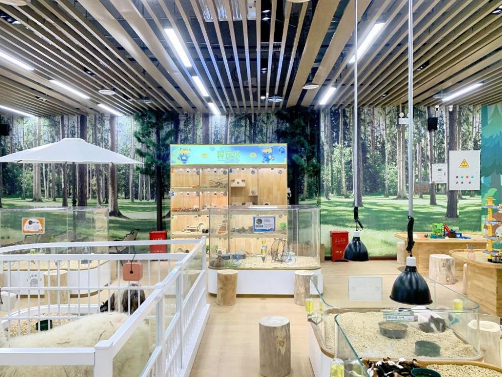 Vaperse Hotel Hainan Clear Water Bay 5*