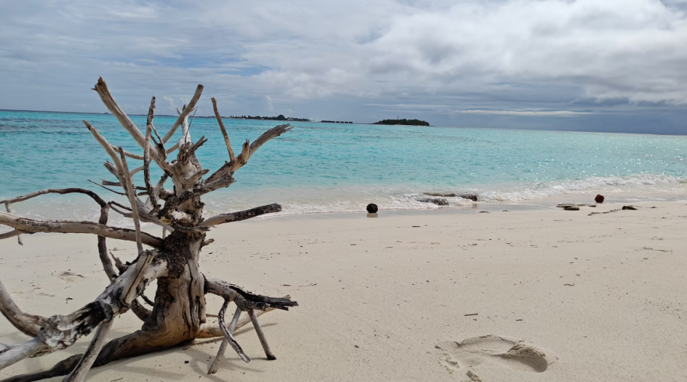 Bougan Villea Retreat Maldives 