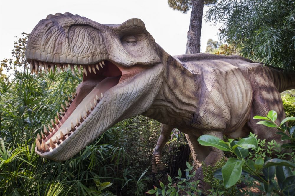 Maxx Royal Belek Golf Resort 5*