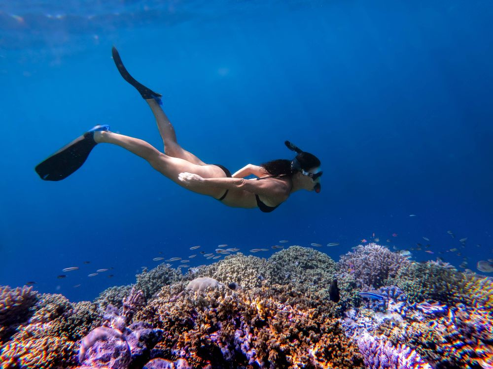 Pullman Maldives Maamutaa 5*