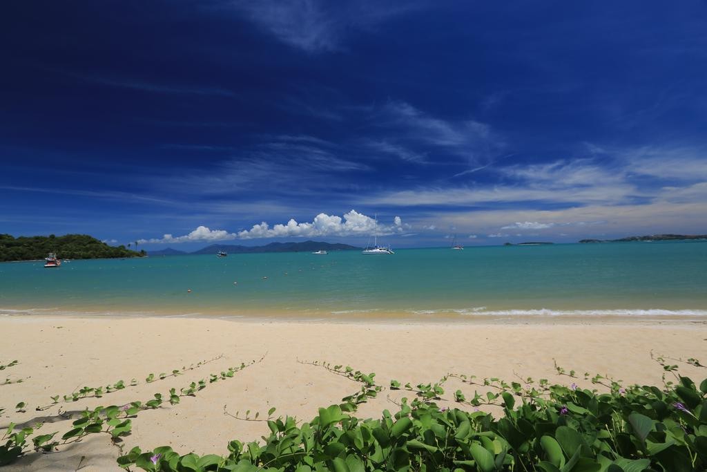 Samui Palm Beach 4*