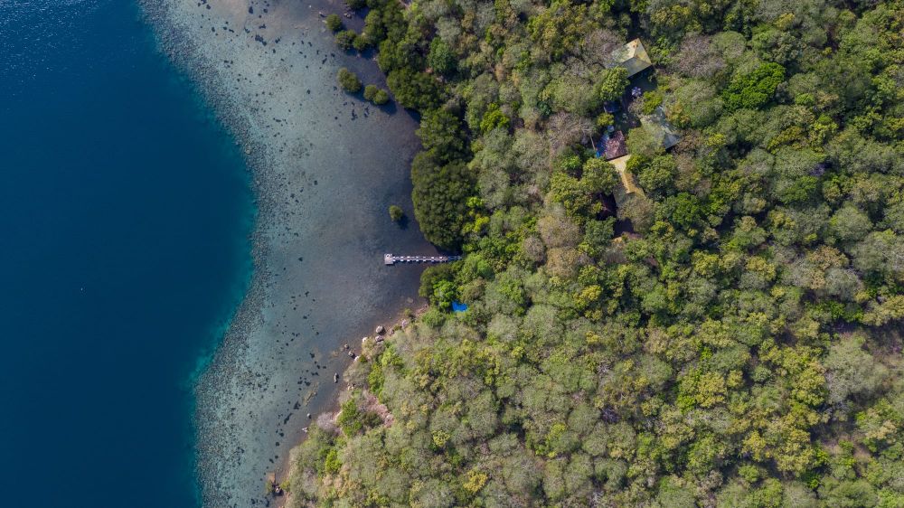 Menjangan Ecolodge 3*
