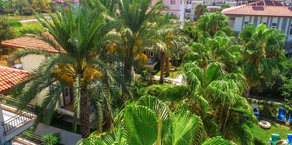 Sunlight Garden Hotel 3+