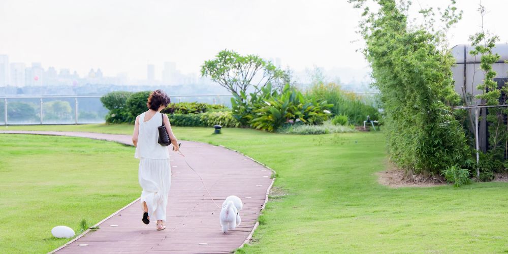 The Xanadu Guangzhou Vignette Collection 5*