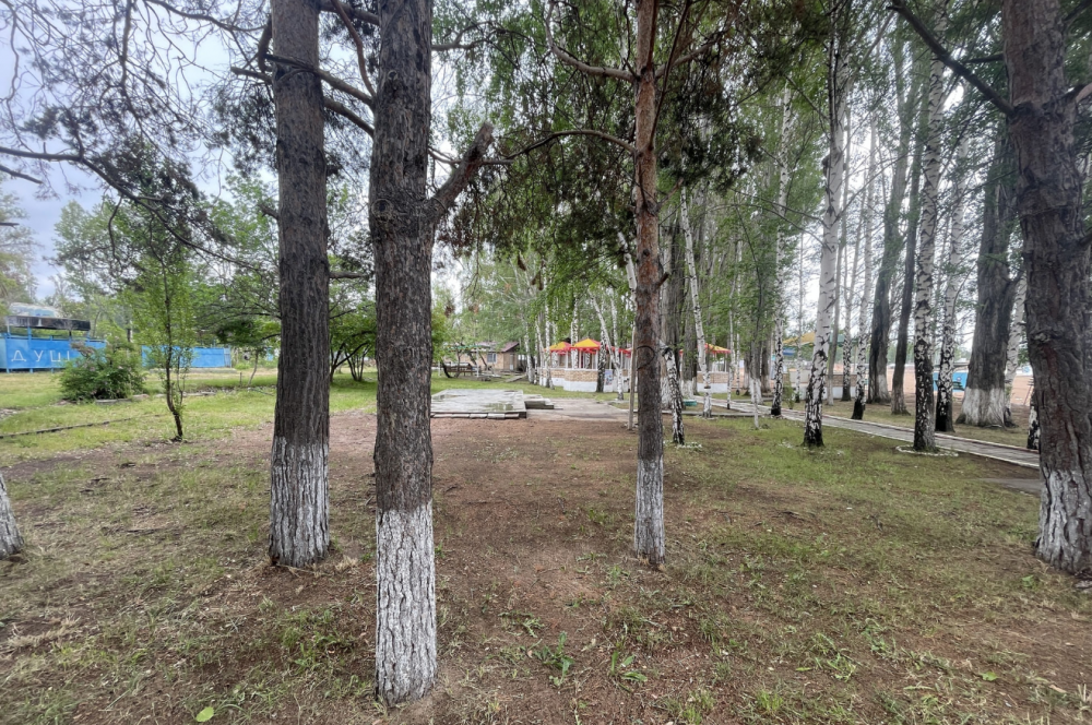 Алтын-Кол 