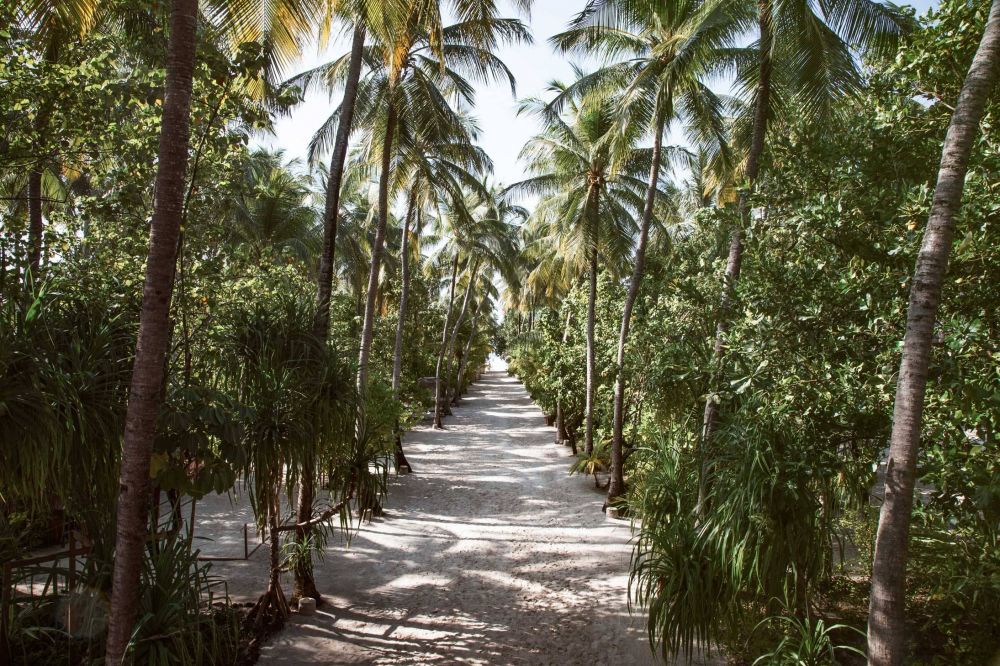 Nakai Maayafushi Tourist Resort 4*