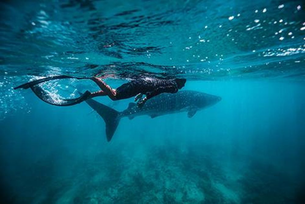 Endheri Sunset Dhangethi 