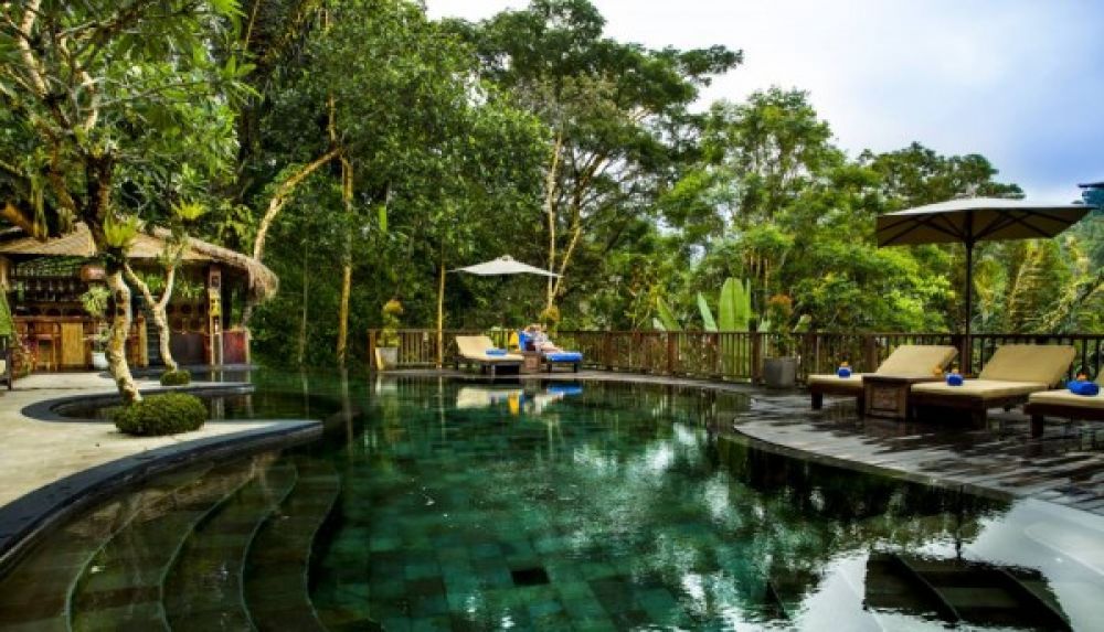 Nandini Jungle by Hanging Gardens 4*