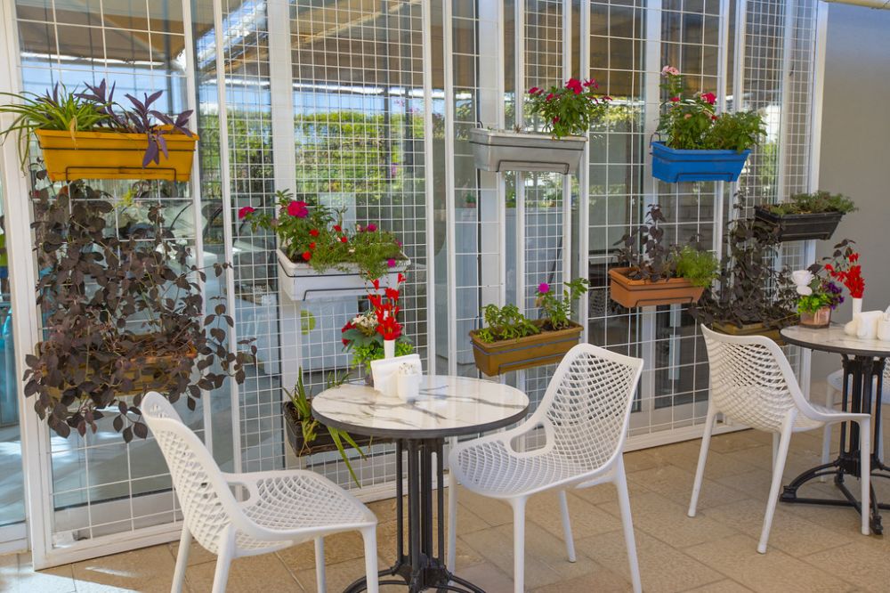 Orange County Resort Hotel Belek 5*