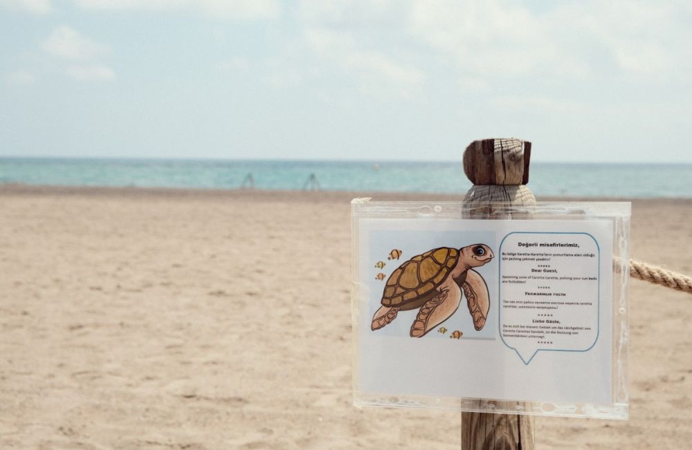 Crystal Paraiso Aqua Collection (ex.Crystal Paraiso Verde Resort & SPA) 5*