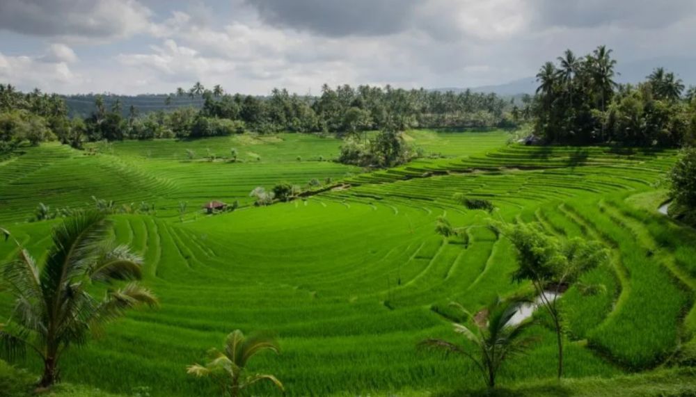 Plataran Ubud Hotel & Resort 4*