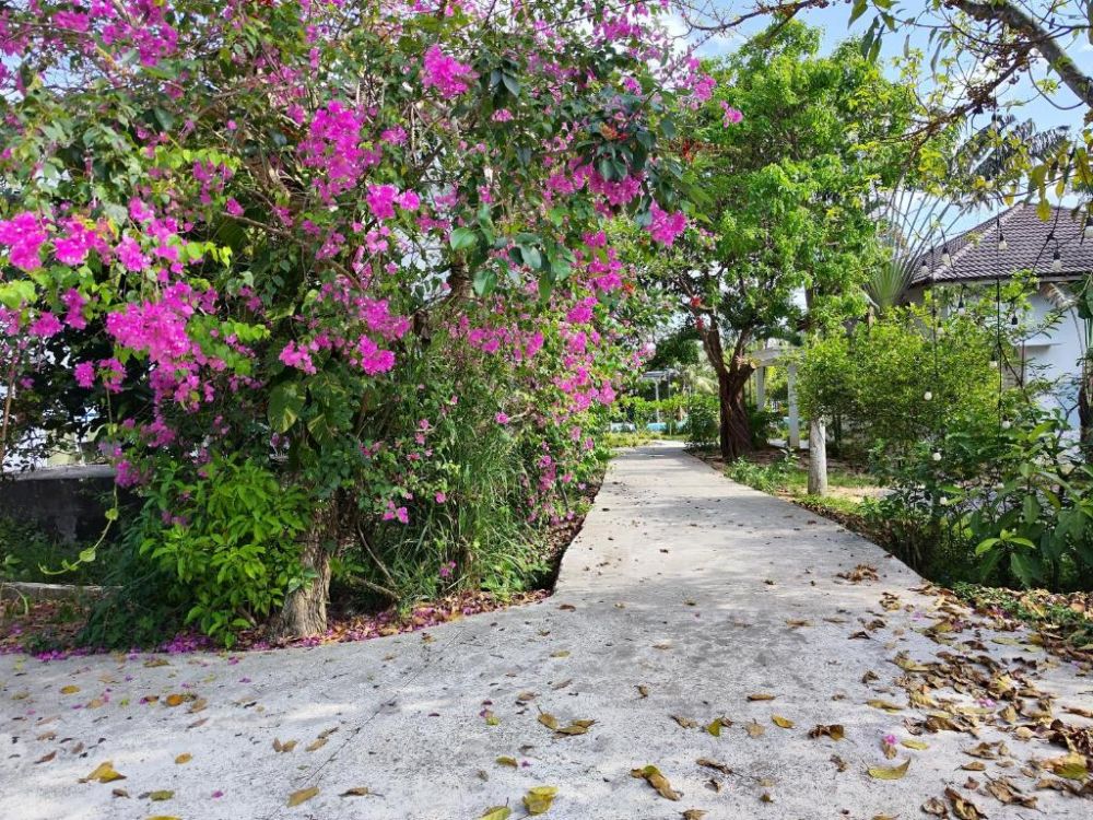 YNG Luxor Phu Quoc Resort 3*