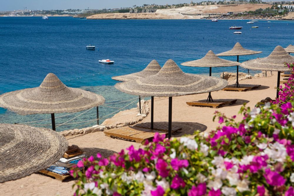 Siva Sharm (ex. Savita Resort) 4*