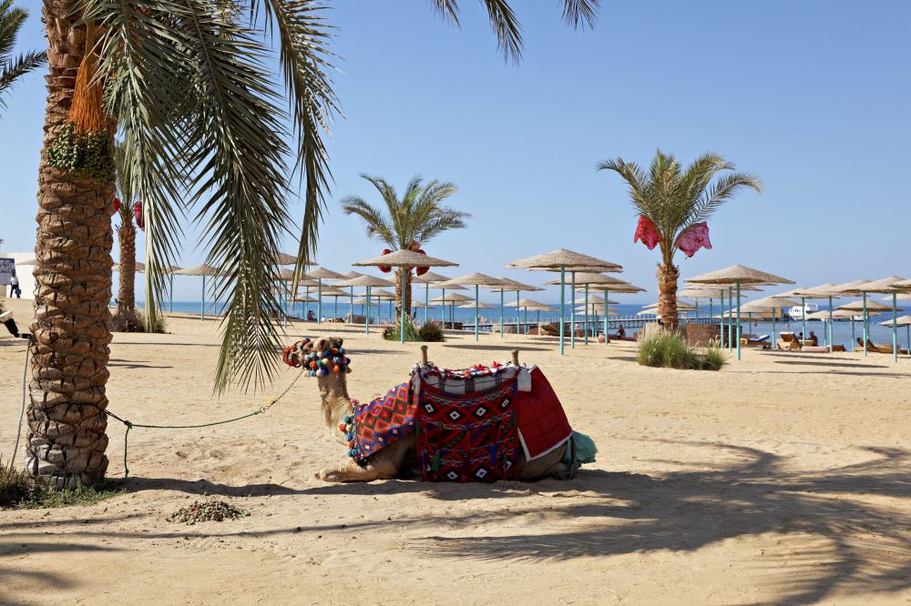 Three Corners Sunny Beach Hurghada 4*