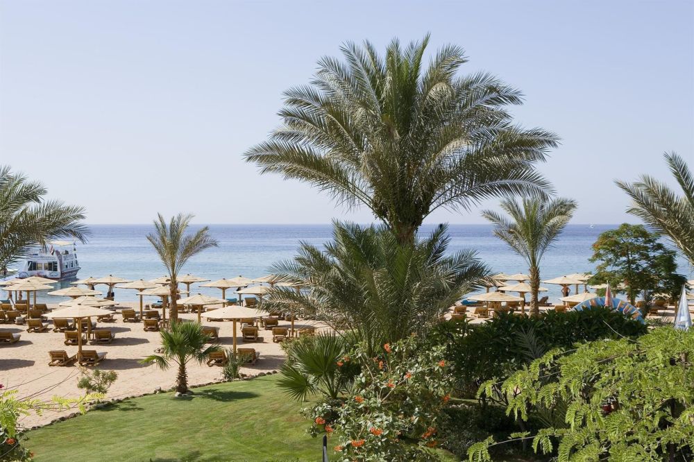 Novotel Palms 5*