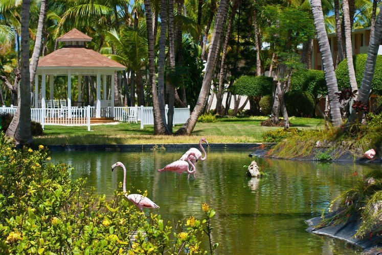 Catalonia Bavaro Beach 5*