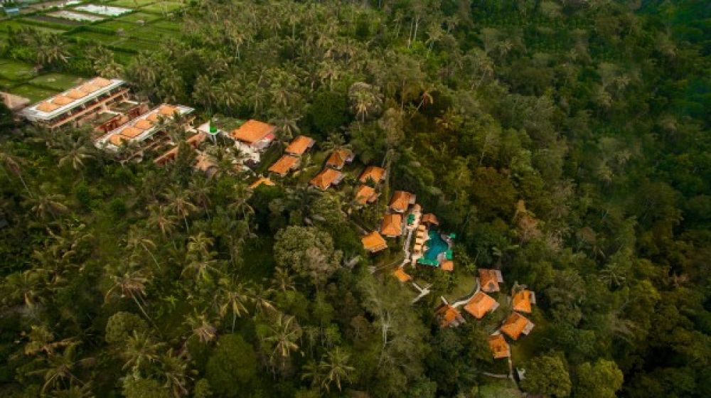 Nandini Jungle by Hanging Gardens 4*