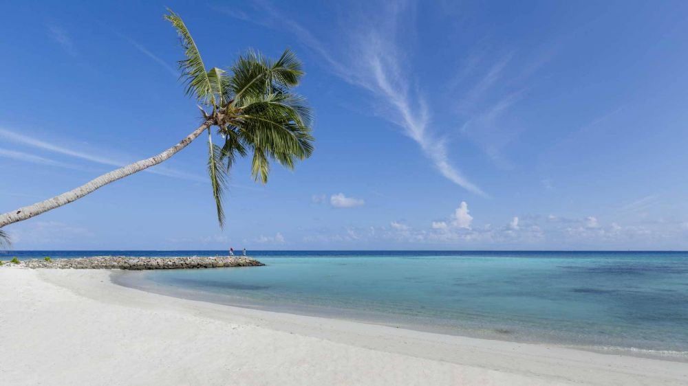 Arena Beach Hotel Maldives 