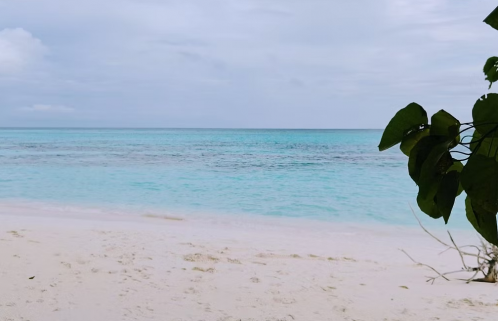 Bougan Villea Retreat Maldives 