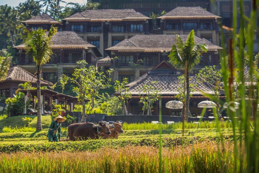 Mandapa, a Ritz-Carlton Reserve 5*