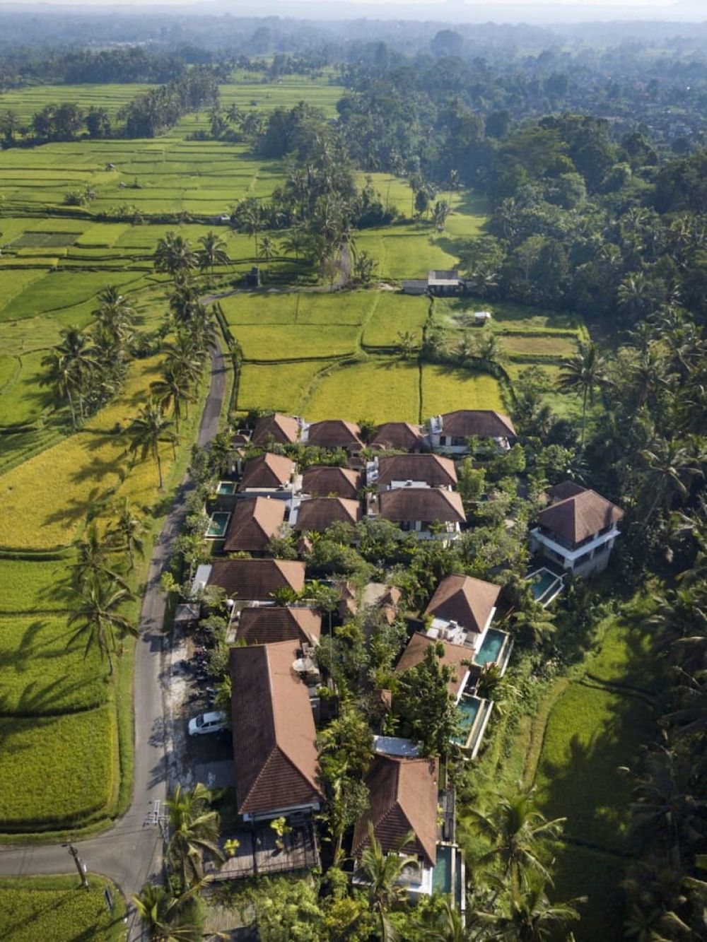 Dedary Resort Ubud 4*