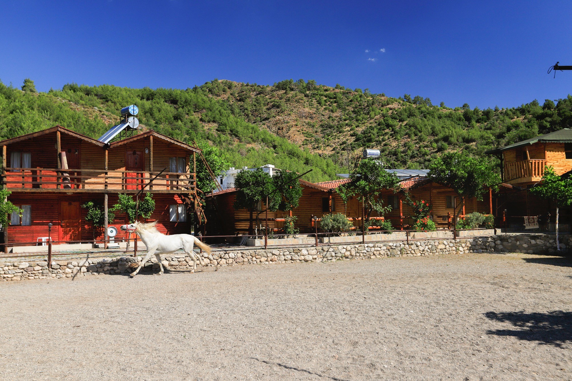 Oranj Ranch Hotel 3*