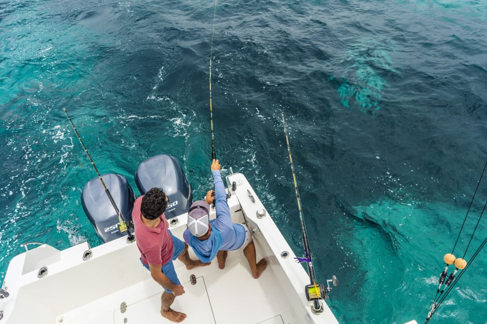 Four Seasons Seychelles at Desroches Island 5*