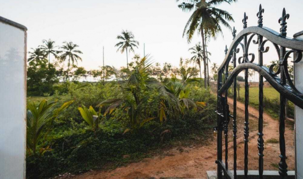 Coconut Grove Resort 4*