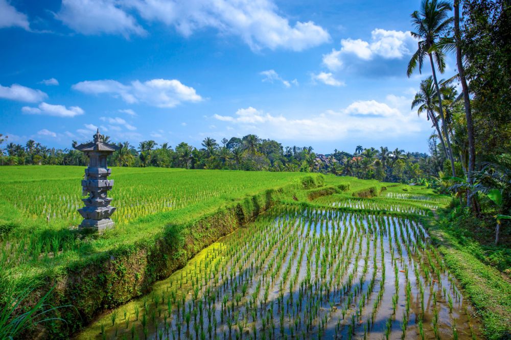 Ayung Resort Ubud 5*