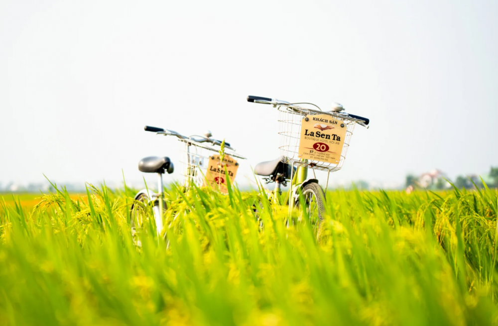 Lasenta Boutique Hotel Hoi An 4*