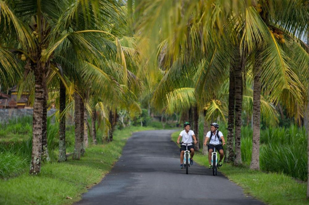 The Samaya Ubud 4*