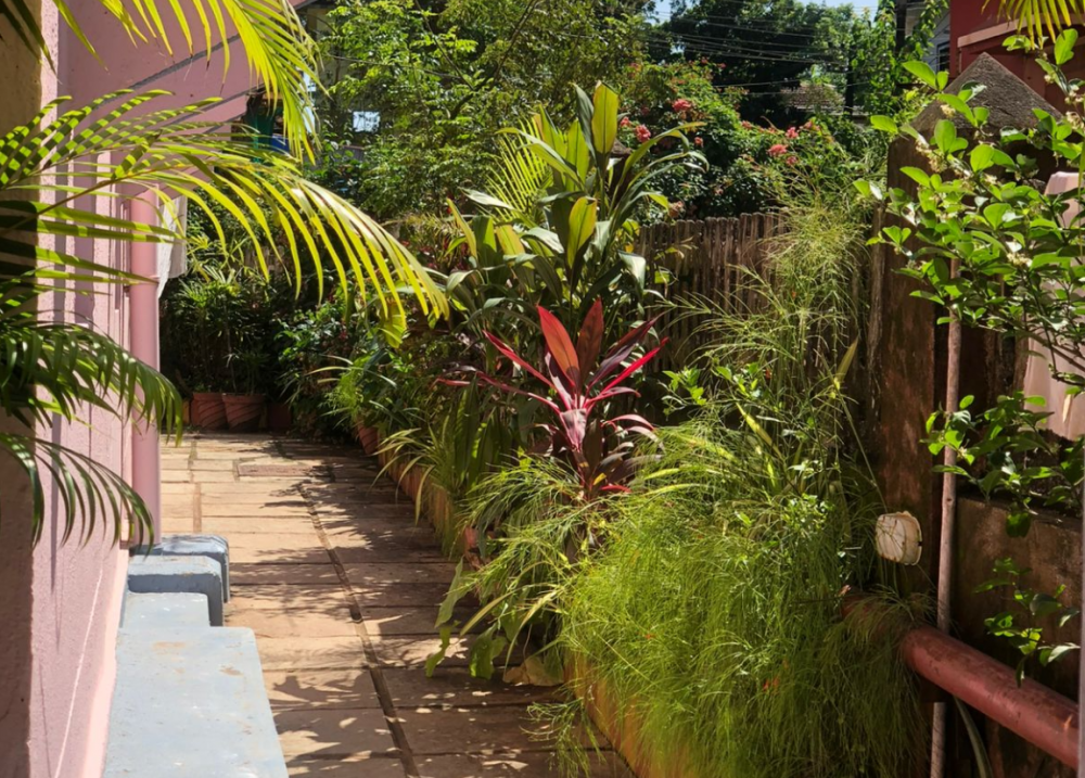 Thomas Beach Guest House 