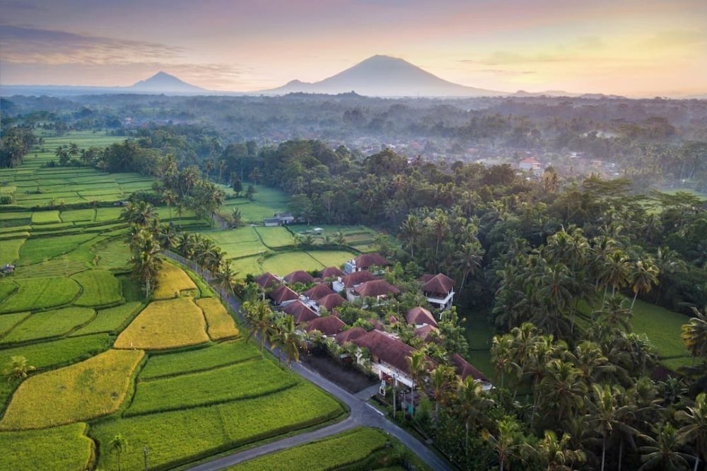 Dedary Resort Ubud 4*