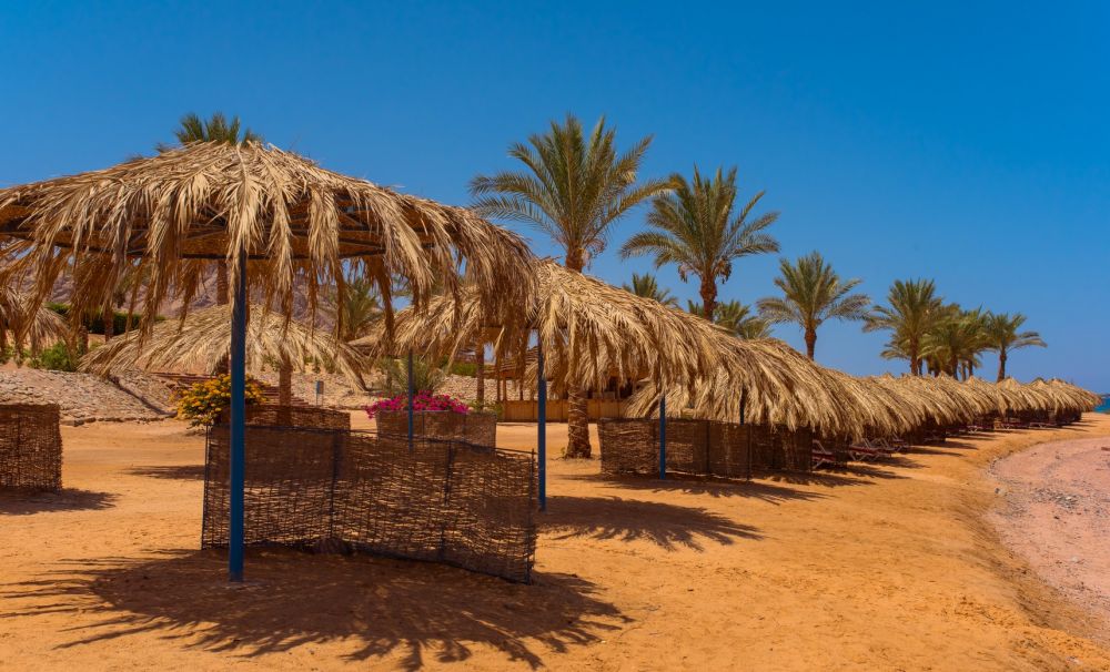 Ecotel Dahab Bay View Resort 4*