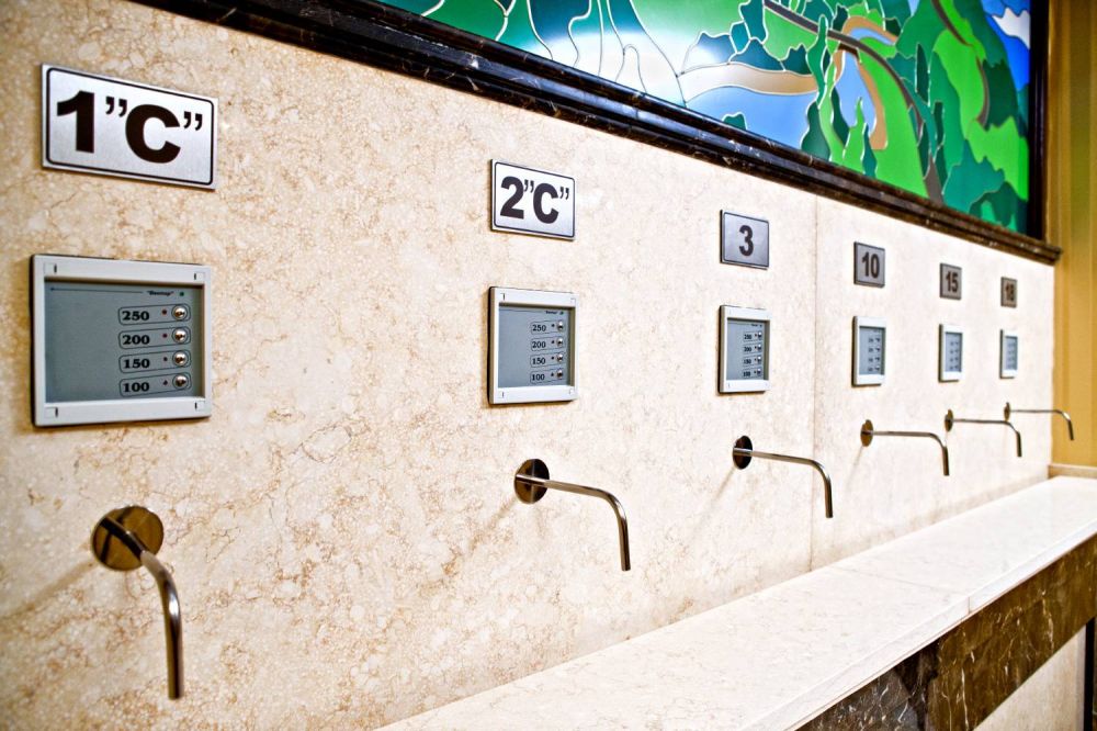 Kyivska Russ Resort Medical & Spa 4*