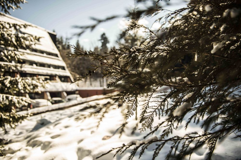 Moura Borovets 3*