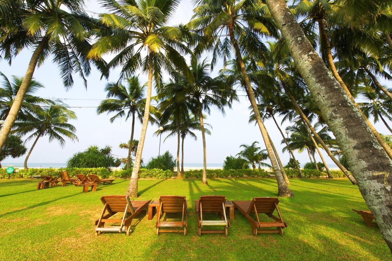 Thaala Bentota Resort (ex. Avani Bentota) 4*