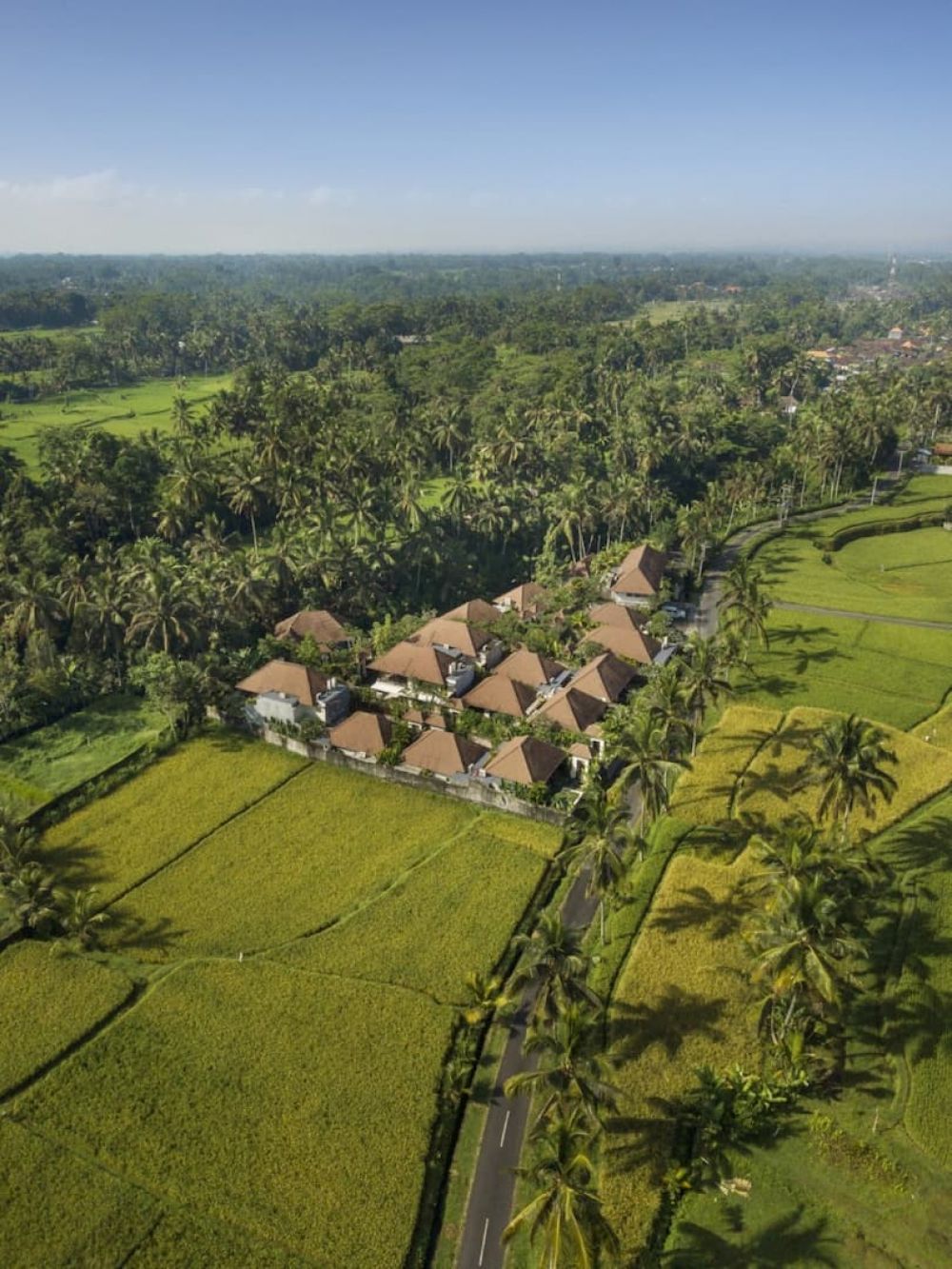 Dedary Resort Ubud 4*