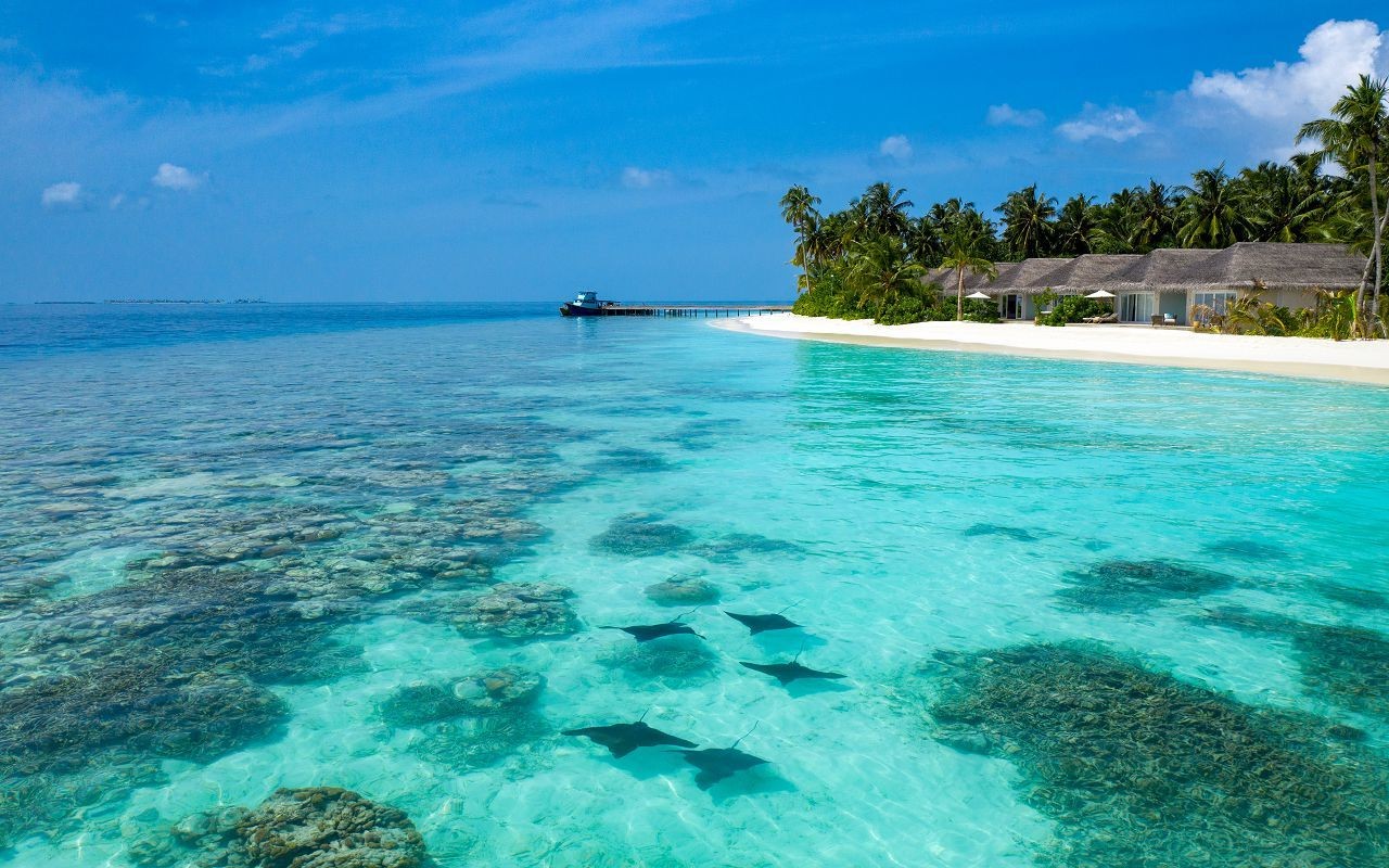 Baglioni Resort Maldives 5*