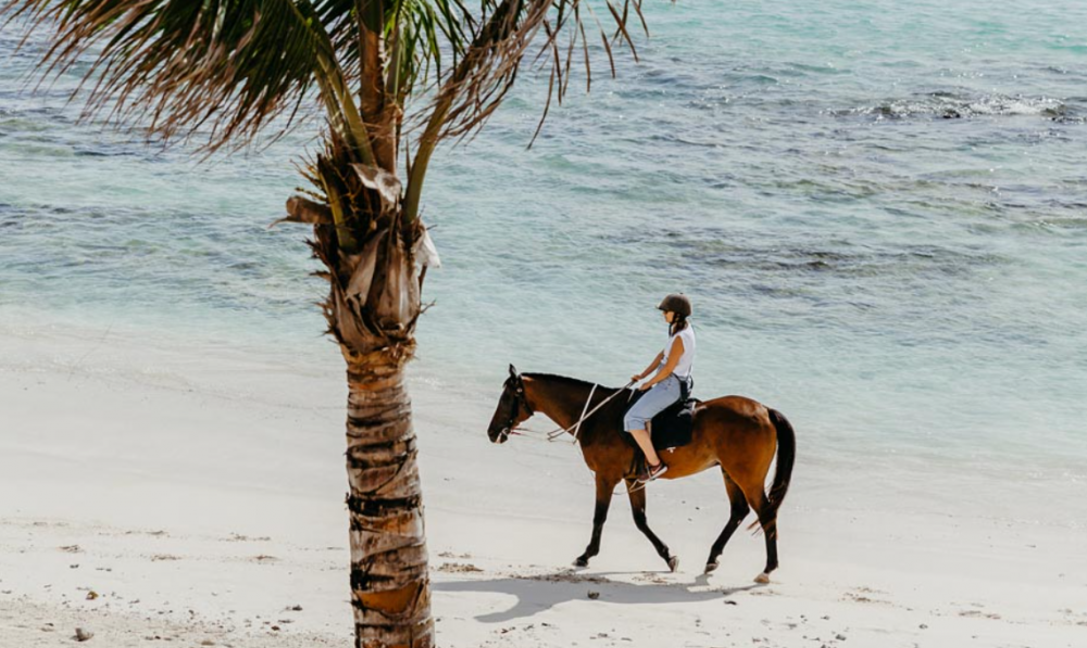 SALT of Palmar, Design Hotels (Adults Only 18+) 5*