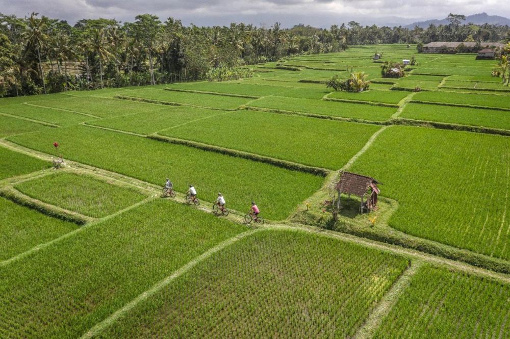 Four Seasons Resort Bali At Sayan 5*