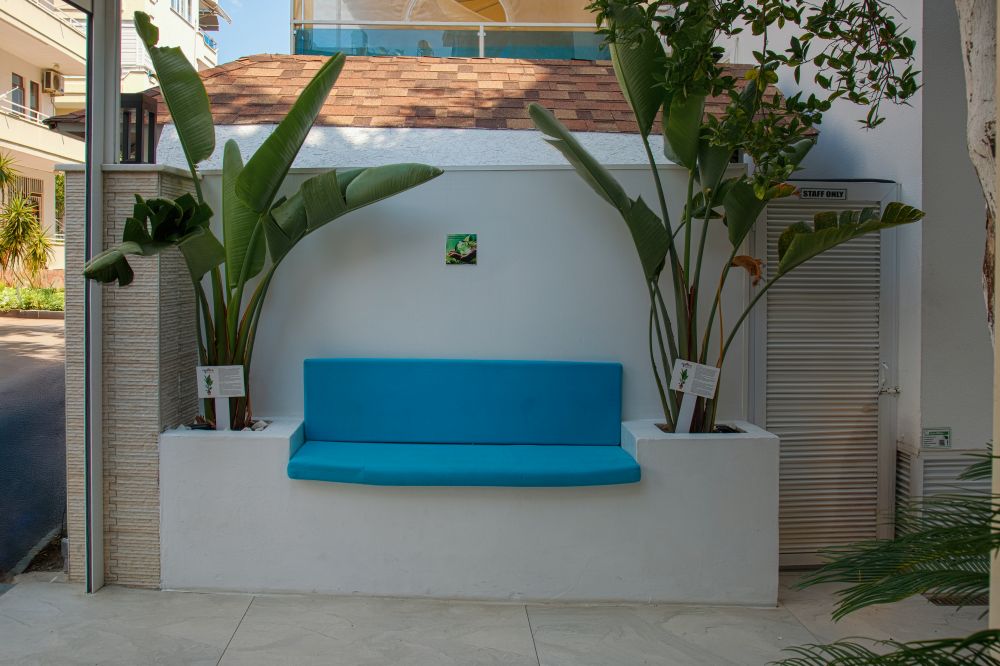 Kleopatra Golden Beach 4*