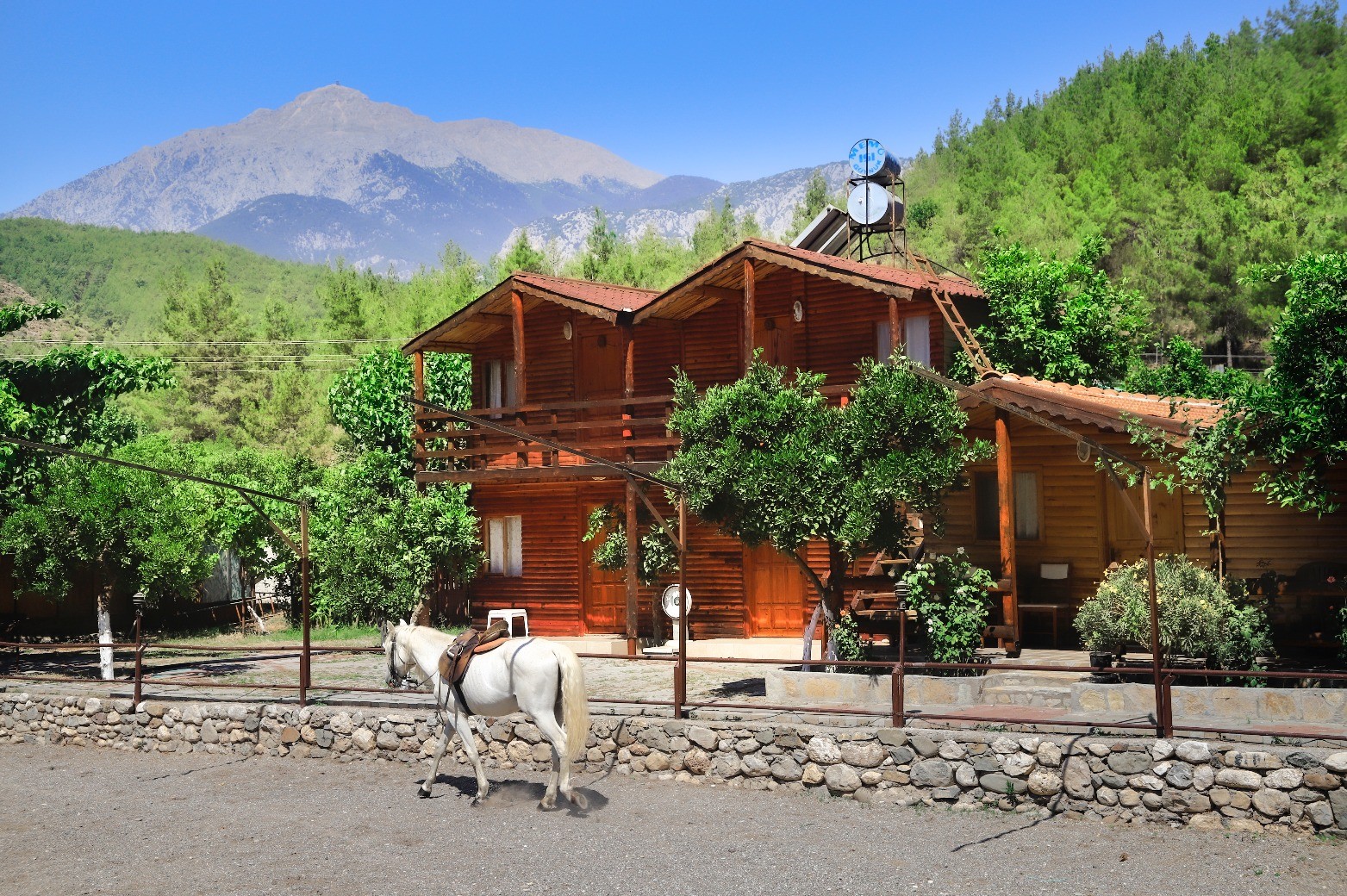 Oranj Ranch Hotel 3*