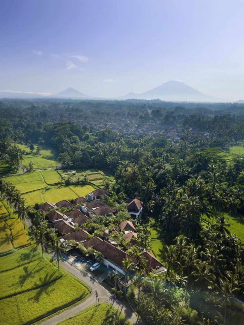 Dedary Resort Ubud 4*