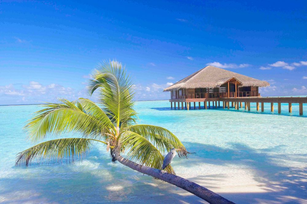 Medhufushi Island Resort 4*