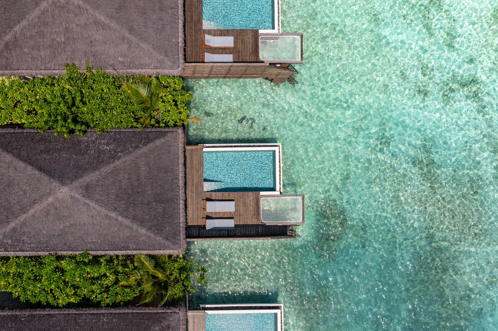 Waterfront Pool Villa, DusitD2 Feydhoo Maldives 5*