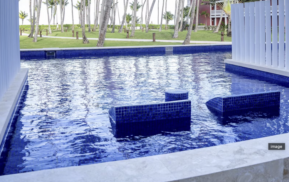 Superior Swim Up Premium Level, Barcelo Bavaro Beach | Adults Only 5*